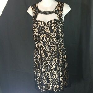 NWT Enfocus petite super sexy lace prom dance dress sz 10P